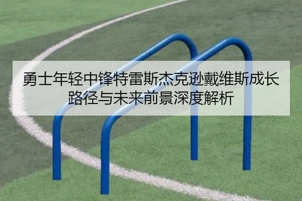 勇士年轻中锋特雷斯杰克逊戴维斯成长路径与未来前景深度解析